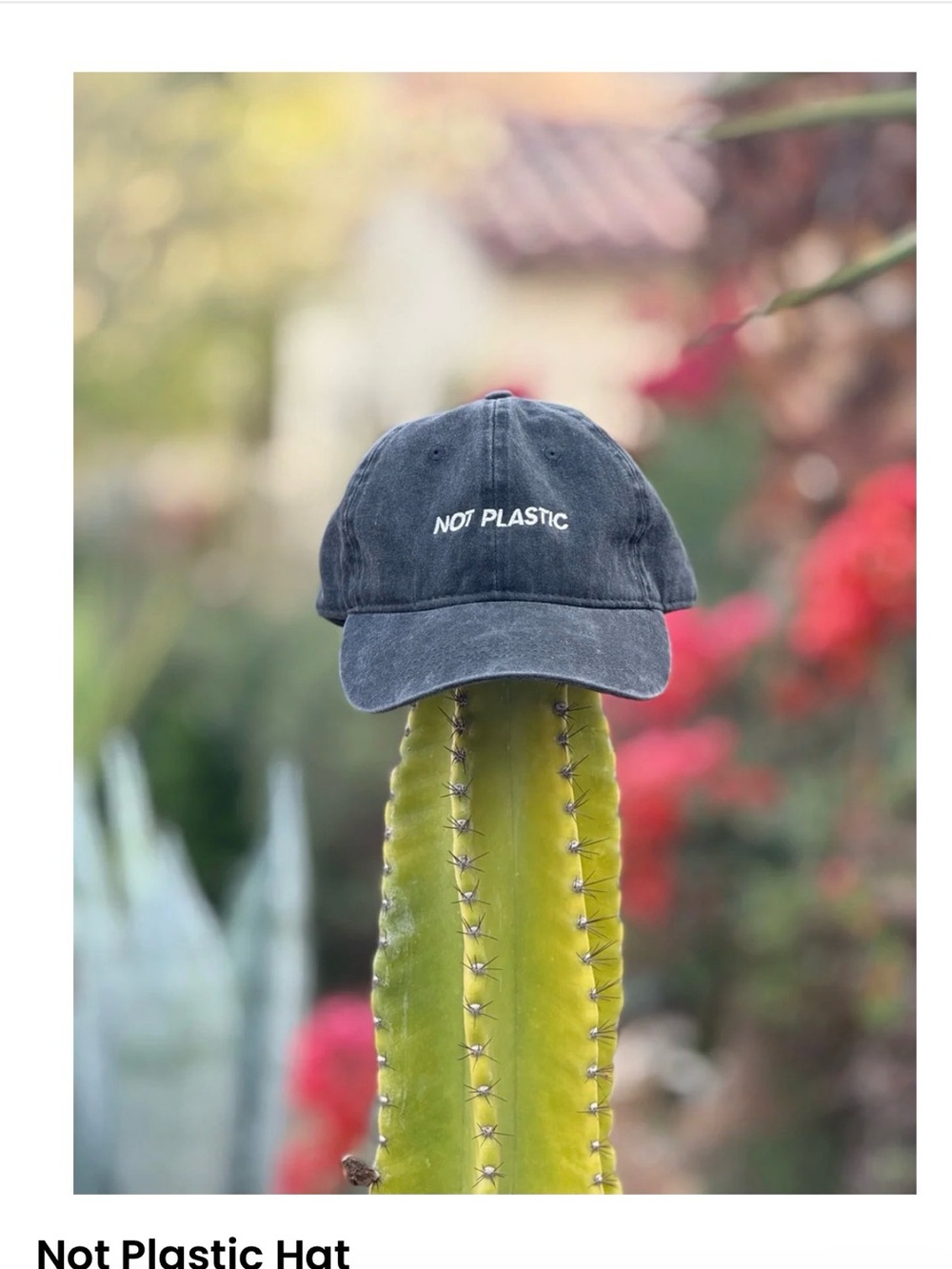 Not Plastic Washed Black Baseball Cap